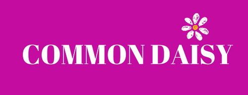 COMMON DAISY APPAREL